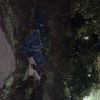 rockland cart raper