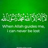 alhayy62