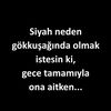 sungur.firat2