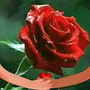 user3110193423717