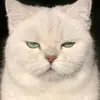 mrminmie1