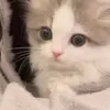 瑠衣