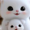 shameer.ki.hun.ya