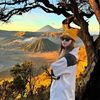 dkBromo71