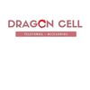 dragontech02