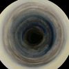 plmro11