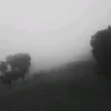 abo__548