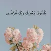 user8144513792507