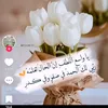 user53095212322068