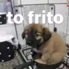 vsfddrenan