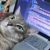 To Code