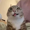 h_yanggggg7