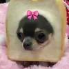 菲菲