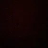 user61098361174756
