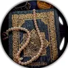 hamza.rajpoot.0013