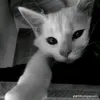 tiktok_may_ac_lam