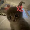 piterrtech