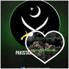 mwasim4461