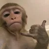 tetanggasebelah_20