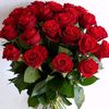 user8847810012359