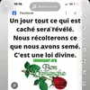 mavietapartien4