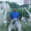 harun.or.rashid497