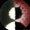 moaicaythue