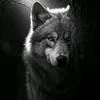 shex_faf9