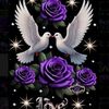 user4198194568753