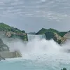 TokTheGlobe2.0