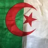 ziane3467dz1