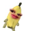 Viraaa
