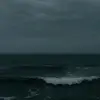 fdnzhbyv8333