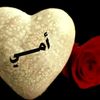 user3131290409152