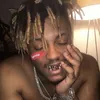 rexir_innit