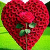 user2713352498144