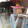 manisha.rai359