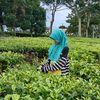 only_laa123