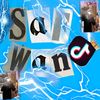saf.wan311