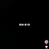 gia.bao201287