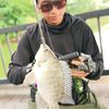 fiyfiyfishing