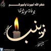 user8735341746243