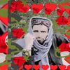 shaheen.khan3764