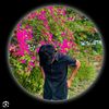 abdulla.sheikh522