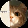 aysha_officials
