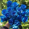 user5888121084984