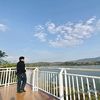 hamdan_13856