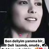 shaxzoda8682