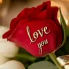 user9506879616685