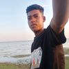 altoom295